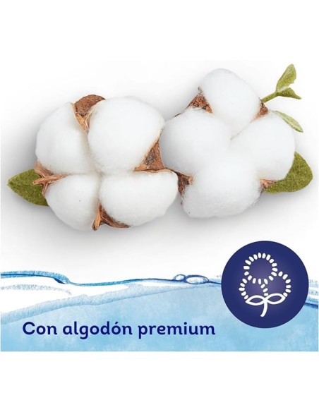 Toallitas Dodot Aqua Pure seguras desde recién nacido.
