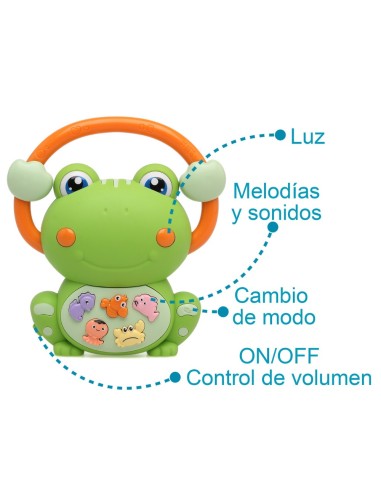 Juguete ranita musical - Kiokids