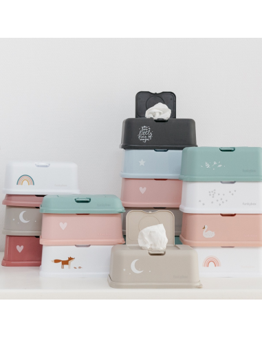 Caja toallitas blanca con estrellitas -  Funkybox