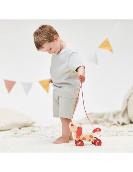 Oferta perrito Pepe de arrastre Hape (+12M) - Nappy.es
