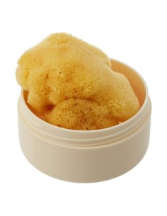 Esponja natural mediterraneo Fina Dama S7 +caja Bellini 2