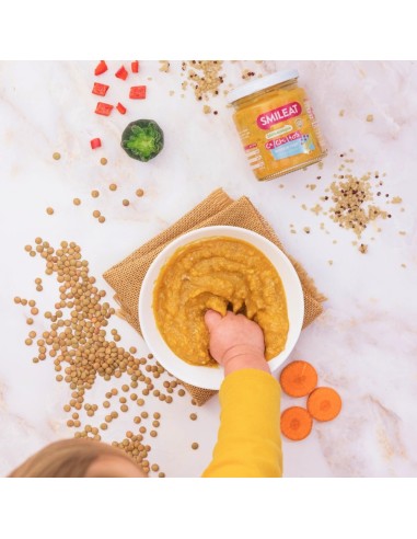 Oferta Tarrito de CA-CHI-TOS de lenteja roja con quinoa. 230g +10M Smi