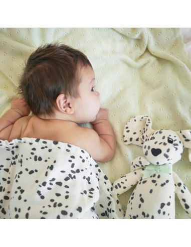 peluche-perrito-elodie