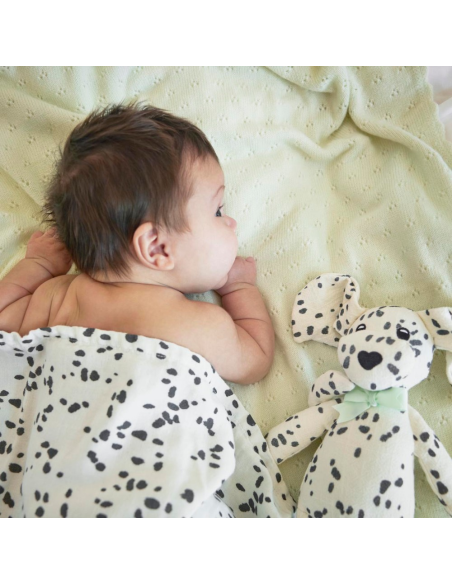 peluche-perrito-elodie