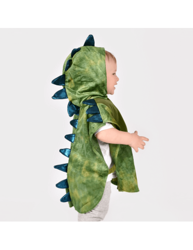 disfraz-dino-den-goda-fen
