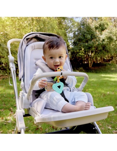 juguete-sensorial-hape-3-meses.jpg