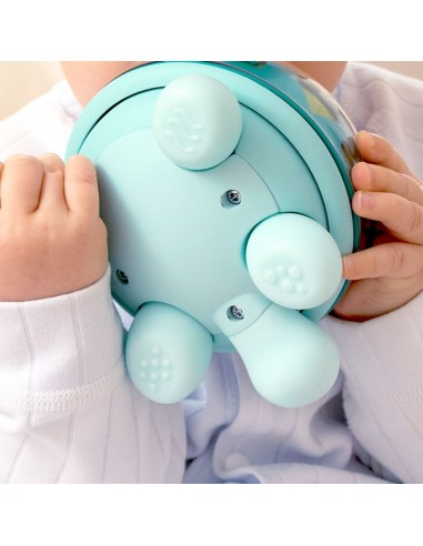 Tortuga musical Hape Twist & Tune 0M+ | Juguete sensorial bebé